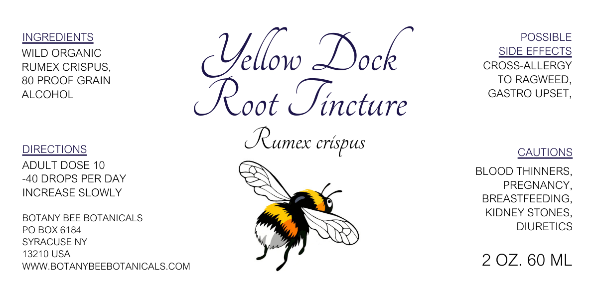 Yellow Dock Root Tincture, Wild Organic Rumex crispus Herbal Extract