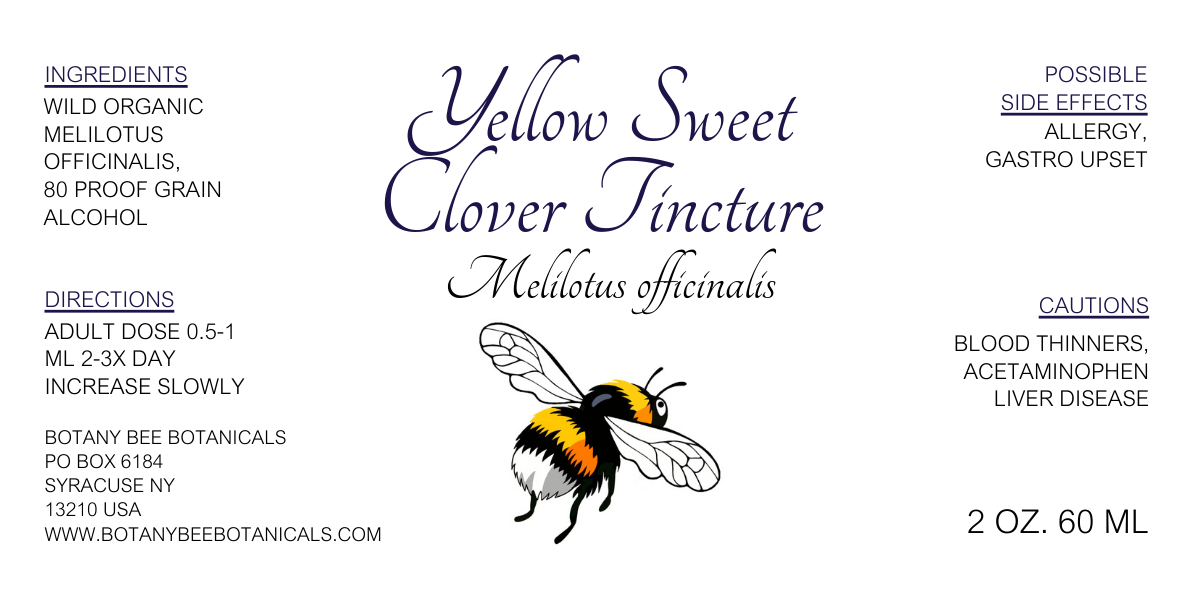 Yellow Sweet Clover Tincture, Wild Organic Melilotus officinalis Herbal Extract